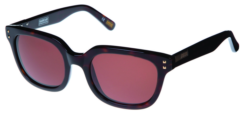 Sunglasses BIS002 Tortoise Brown Polarised Lens