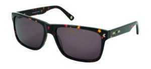 Duck and Cover Men's Sunglasses DCS026 Havana/Brown Lens