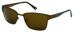 Duck and Cover Men's Sunglasses DCS031 Brown/Brown Lens