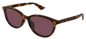 Gucci Women's Sunglasses Havana/Violet
